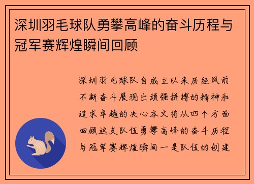 深圳羽毛球队勇攀高峰的奋斗历程与冠军赛辉煌瞬间回顾
