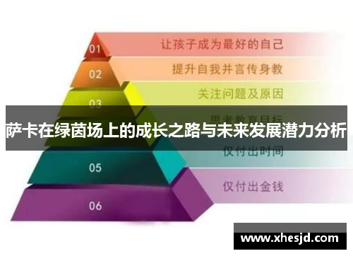 萨卡在绿茵场上的成长之路与未来发展潜力分析